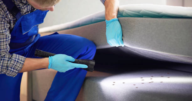 Best Affordable Exterminators  in Harleysville, PA