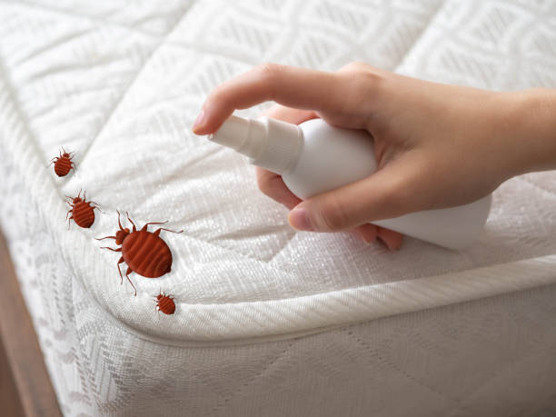 Best Pest Control Near Me  in Harleysville, PA